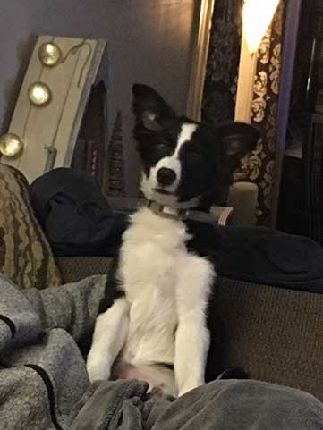 Duog